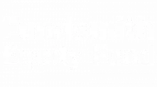 Fundsmith equity fund logo
